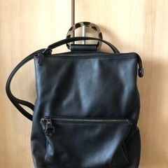 ear  PAPILLONNER 2wayレザーバッグ