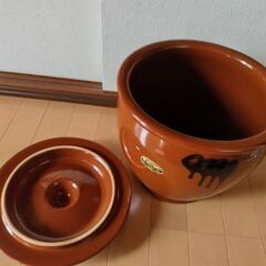 かめの画像