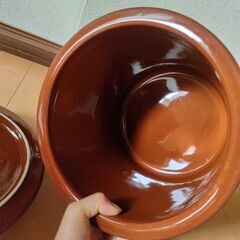 かめの画像