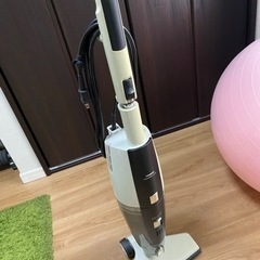 家電 生活家電 掃除機
