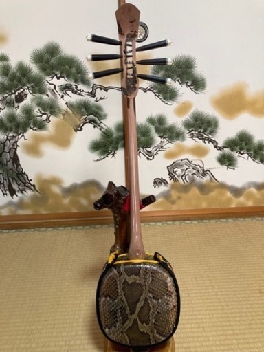 沖縄三線！新品！　6弦　棹ユシ木　6弦マイク付き！