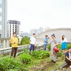 【急募】都心で野菜栽培。都市型IoT農園の運営メンバー募集！
