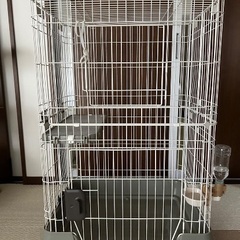 猫ゲージ
