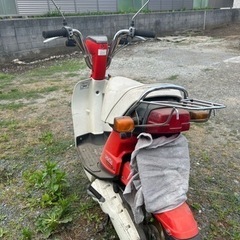 パセッタの画像