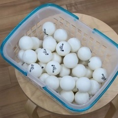 卓球サークル。新メンバー募集中！ - スポーツ