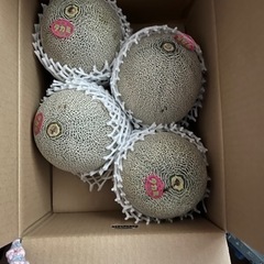 メロン