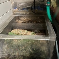 大型水槽用濾過層の画像