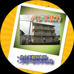 🌼パレス林乃101号室🌼✨仲介手数料無料✨敷金・礼金なし（0円・...