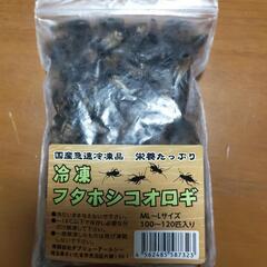 冷凍フタホシコオロギ