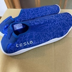 ジム用　靴　テスラ　