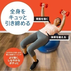 バランスボール ヨガボール 空気入れ ボールの画像
