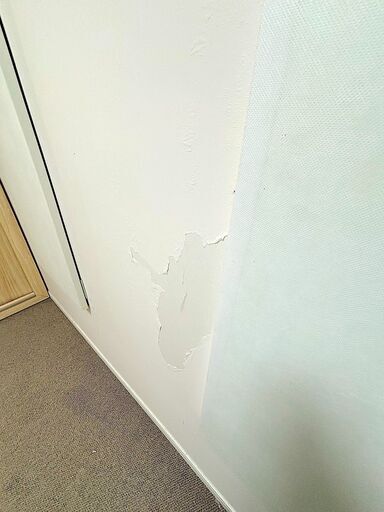 在庫一掃セール！新日本ミュージック製　セリーヌ 3.2畳 -35db　ハイロング仕様　東京から！