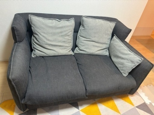 【定価10万円】ソフティーナ 家具 ソファ 2人掛けソファ