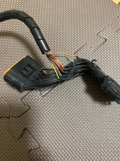 シグナスX エニグマ
