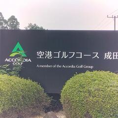 一緒にゴルフ⛳楽しみましょう🙌✨ - 鎌ケ谷市