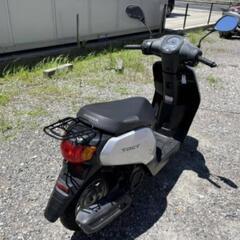 原付 ホンダタクト 2015年式の画像