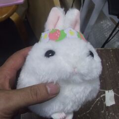 うさだま　ぬいぐるみ
