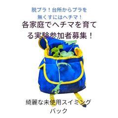 ヘチマを育てる実験手伝って！助けてください！