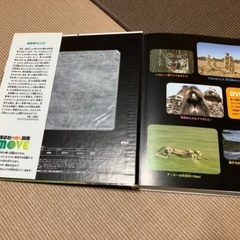 恐竜、昆虫、動物図鑑の画像