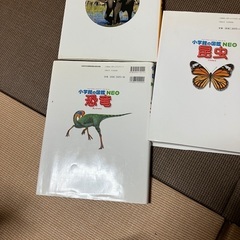 恐竜、昆虫、動物図鑑の画像