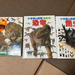 恐竜、昆虫、動物図鑑