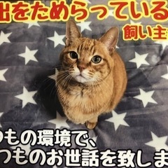 🐶三重県🐱ペットシッター&動物訪問介護にくきゅう屋