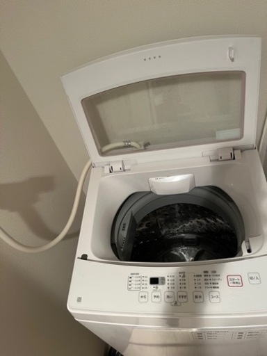 家電 生活家電 洗濯機