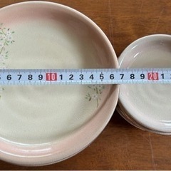 新品食器⑨ 平皿B 10枚セットの画像