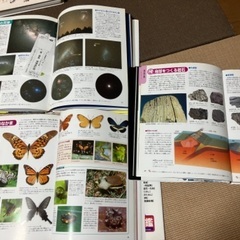 図鑑3冊の画像