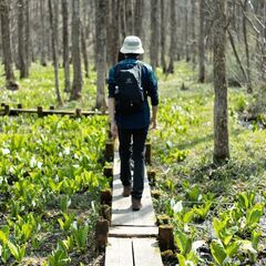▼軽登山🏔を楽しみたい人、募集中です！☆R７年度も活動☆▼ - 横手市