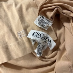 スプリングコート・エスカーダTシャツの画像