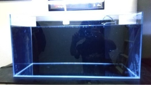 アクロ　水槽セット！