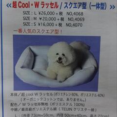 超Cool,Wラッセル