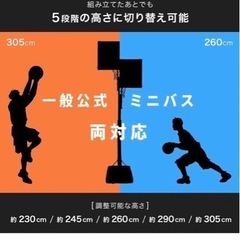 [ARCH-LOOP] バスケットゴール ( 屋外 / 家庭用 ) ( 一般・ミニバス サイズ対応 ) の画像