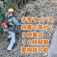 山林の下刈作業(草刈り)