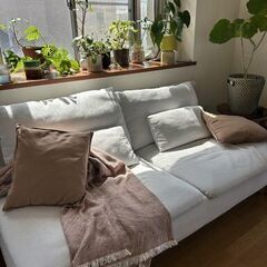 IKEAソーデルハムン 3人掛けソファ , ライトグレーSÖDERHAMN 最終値下げ SOFAの画像