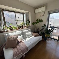 IKEAソーデルハムン 3人掛けソファ , ライトグレーSÖDERHAMN 最終値下げ SOFAの画像