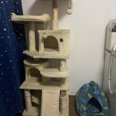キャットタワー