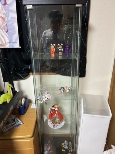 デトルフ　コレクションケース
