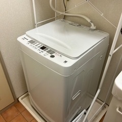 Hisense洗濯機6キロ　使用3ヶ月美品
