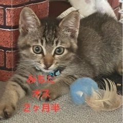 里親様　決定しました！