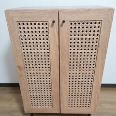 ラタン調シューズボックス[幅60] LOWYA