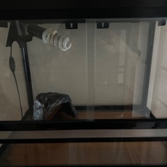 ガラスゲージ(爬虫類、小動物などに)