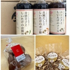 商品ご購入でカブト虫をペアでプレゼント！