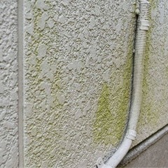 外壁🏠塀などのクリーニング🫧✨