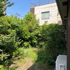 お庭の悩み解決します！