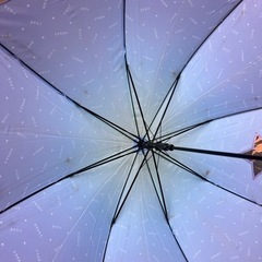 小学生用傘の画像