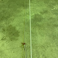 ワイヤーロープの画像