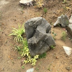 庭石大小いろいろ
