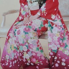 成人式　　振袖　草履バック美品一式(お値下しました)